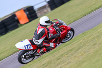 PJ-Motorsport-2019;anglesey-no-limits-trackday;anglesey-photographs;anglesey-trackday-photographs;enduro-digital-images;event-digital-images;eventdigitalimages;no-limits-trackdays;peter-wileman-photography;racing-digital-images;trac-mon;trackday-digital-images;trackday-photos;ty-croes